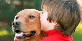 Dicas para um melhor relacionamento entre cães e crianças