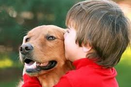 Dicas para um melhor relacionamento entre cães e crianças