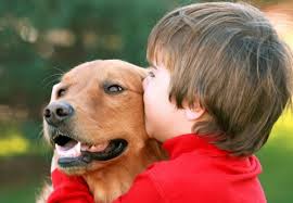 dicas de relacionamento entre cães e crianças Dicas para um melhor relacionamento entre cães e crianças