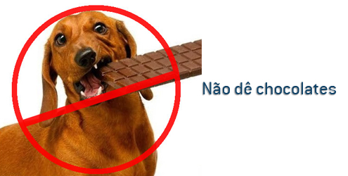 Chocolate alimento perigoso para os cães Chocolate alimento perigoso para os cães