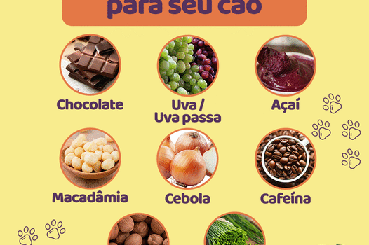 substâncias mais perigosas para seu cachorro ou gato