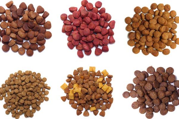 Tipos de rações para cachorro e suas diferenças
