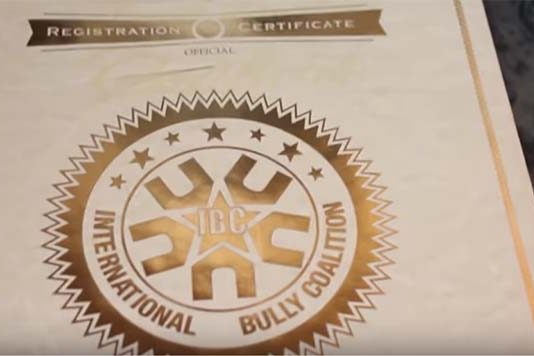 American Bully Registro - Kennel Clubes que reconhecem a raça