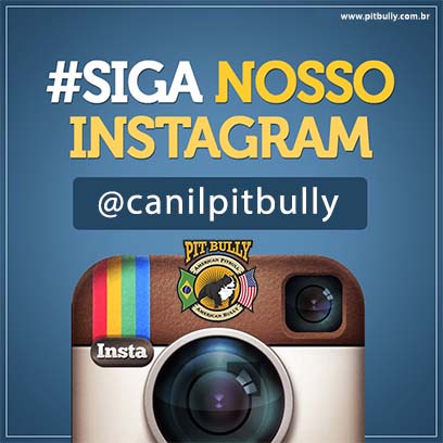 Siga Canil PitBully no Instagram - @CanilPitbully