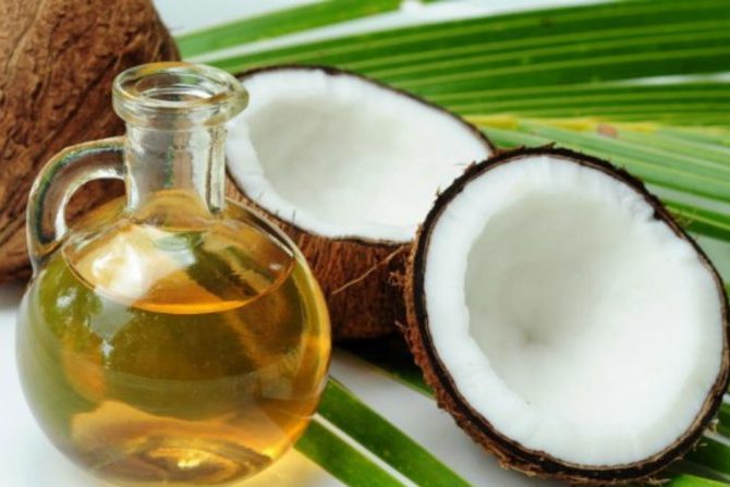 Importância do óleo de coco para os cães