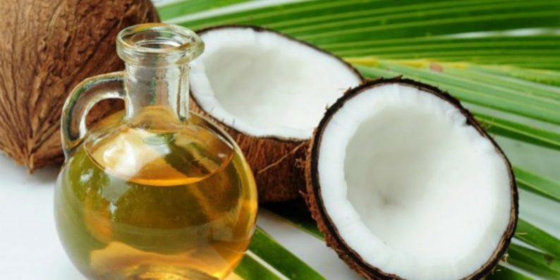 Importância do óleo de coco para os cães