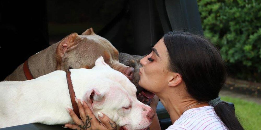 mulheres-amam-pitbull-american-bully