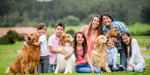 Cachorros Familia Cachorros Familia