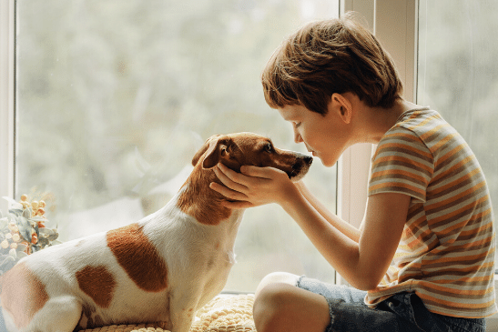 Por que meu cachorro não gosta de crianças