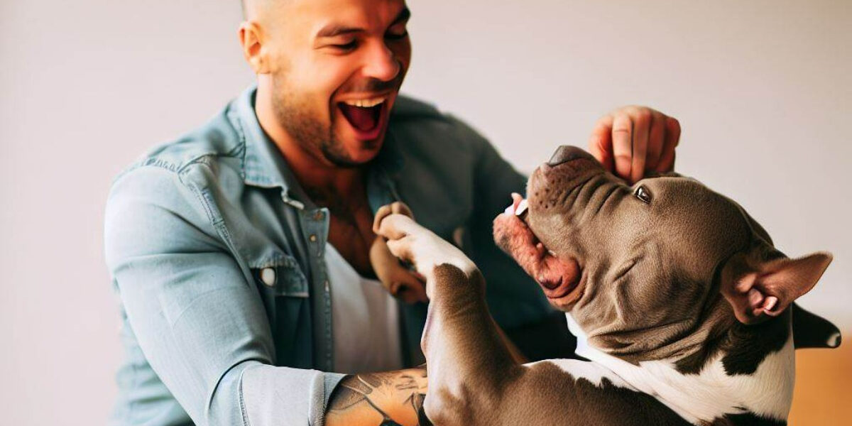 Dicas para ser o humano favorito do seu cachorro Dicas para ser o humano favorito do seu cachorro