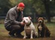 Como Socializar seu Pit Bull